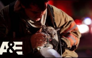 Cat Rescued from Suspected Arson Fire