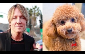 Keith Urban's New Snuggle Buddy Is Just Melting Our Hearts