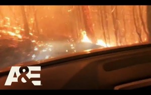 How to Survive WILDFIRES