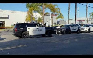 Police officer hit by stolen vehicle at car dealership