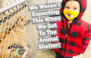 We Weren't Expecting THIS When We Got To The ANIMAL SHELTER!!
