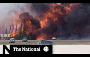 Fort McMurray 5 years after the wildfire disaster