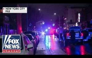 Police around US investigating series of brutal attacks in major cities