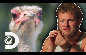 Gabe Loses His Wedding Ring After Fighting An Ostrich