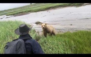 Real Grizzly Bear Charge Handled Without Bear Spray