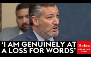 'I Am Genuinely At A Loss For Words': Ted Cruz Shocked By 'Stunning' Democratic Move In Senate